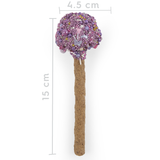 KAZOO Barney's Barkery - Dog Cake Pop