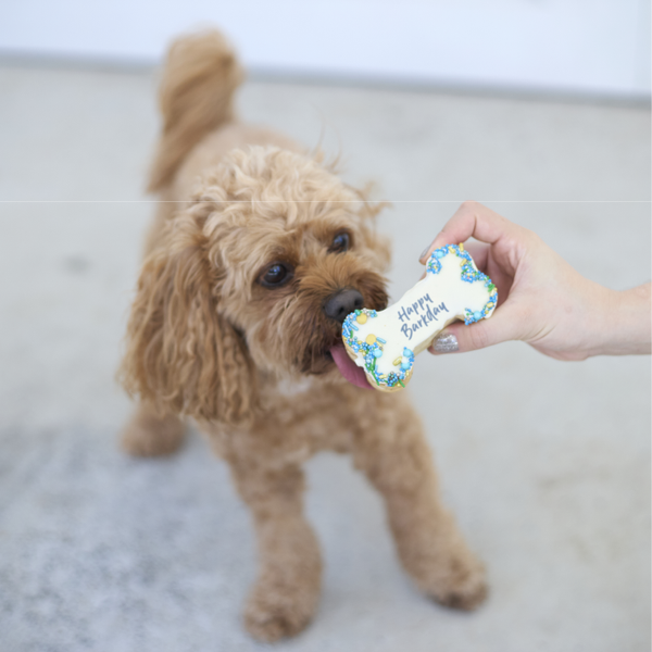 KAZOO Barney's Barkery - Dog Birthday Bone Cake