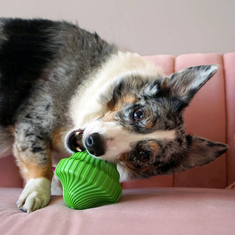 KONG Squeezz Orbitz Spin Top