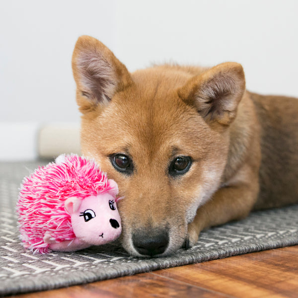 KONG Comfort Hedgehug Puppy