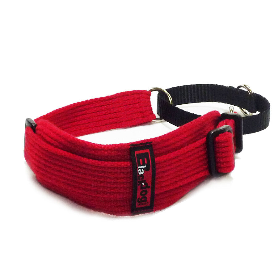 BLACK DOG WEAR Sight Hound Collar