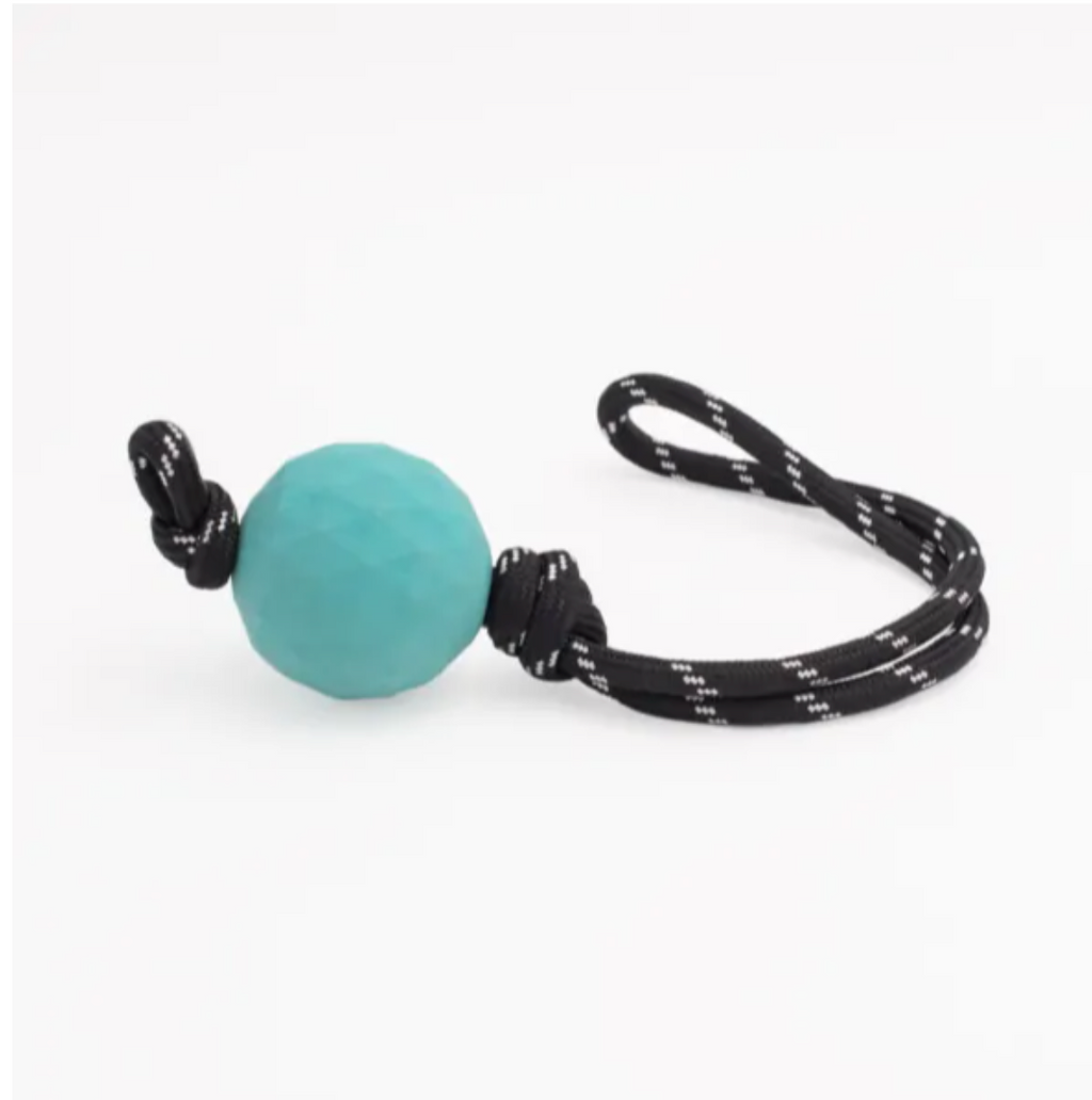 ZIPPY PAWS Tuff Waggle Rope Tugz Babble Ball