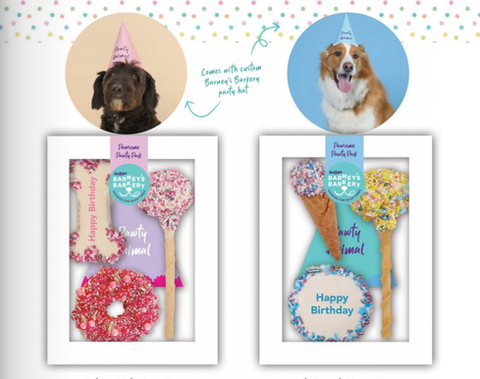 KAZOO Barney's Barkery - Dog Birthday Treats Party Pack