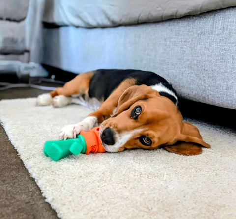 HAPPY STAFFY CO Chomp carrot