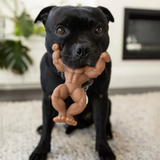 HAPPY STAFFY CO Staffy Schwarzenegger