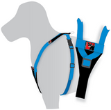 BLACKDOG WEAR Y-Front Harness