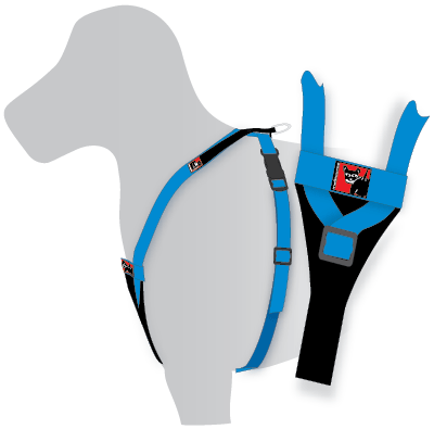 BLACKDOG WEAR Y-Front Harness