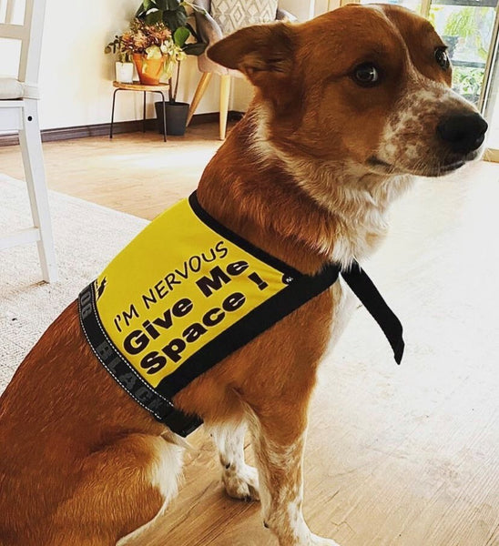 BLACKDOG WEAR Vest - I'm Nervous 'Give Me Space'