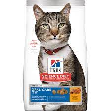 SPECIAL ORDER ~ HILLS (HSD) CAT ORAL CARE 4KG