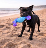 HAPPY STAFFY CO Seahorse Splash