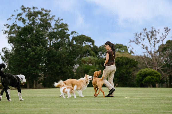 The World of Woofers : 21 Years and Counting – Limited Edition | PRE-ORDER
