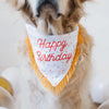 ZIPPYPAWS Birthday Bandana & Bone Set