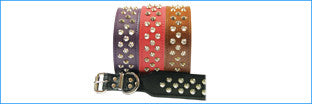 BEAU PETS Leather Staffy/Bull Terrier Stud Collar 43mm x 55cm