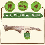 WAG Whole Antler