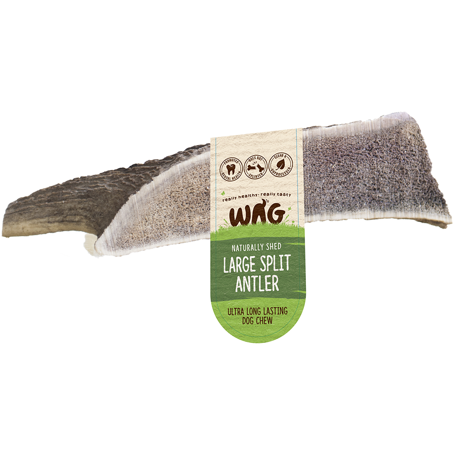 WAG Split Antler