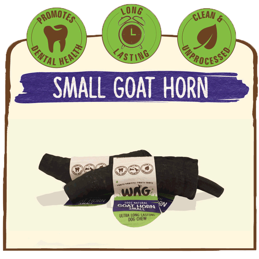 WAG Goat Horn