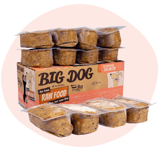 BIG DOG Tasmanian Salmon Raw Food (frozen)