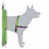 BLACK DOG WEAR - Balance Training Pack