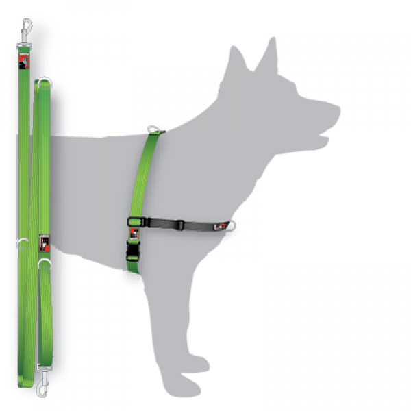 Black dog online balance harness