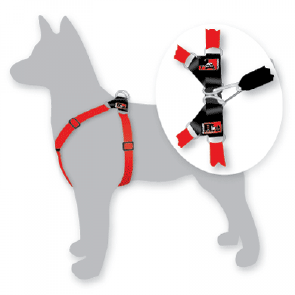 BLACKDOG WEAR Dog Harness