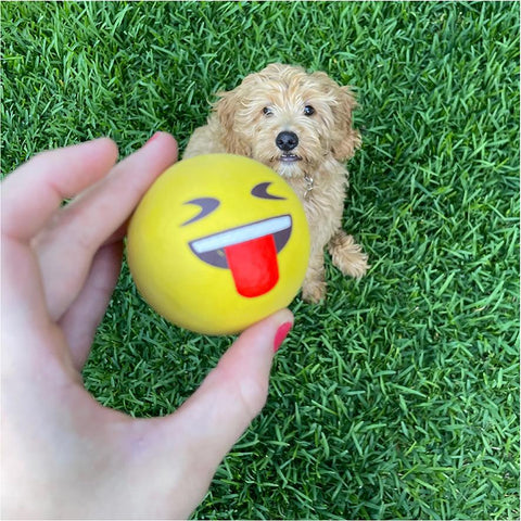 KAZOO Emoji Ball