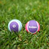 Kazoo Squeaky Tennis Ball