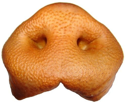 SPECIAL ORDER ~ BLACKDOG Pig Snout