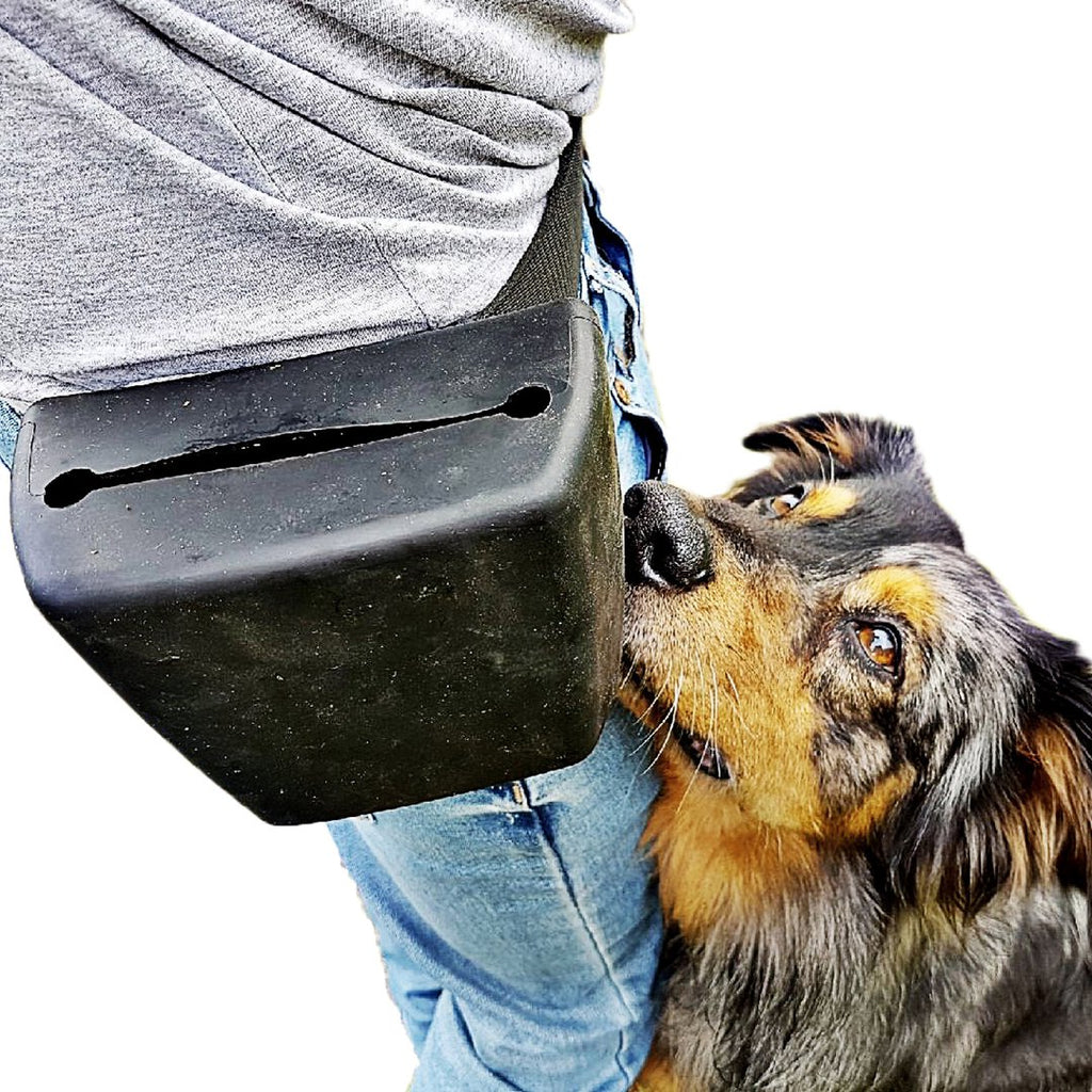 THE TRAINERS POUCH - Original