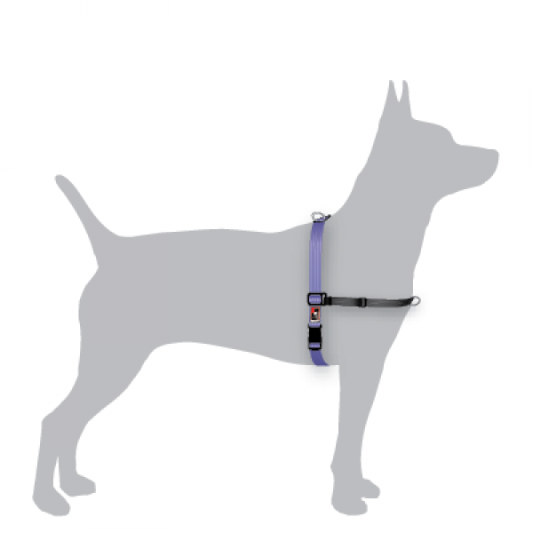 BLACK DOG WEAR - Balance Harness