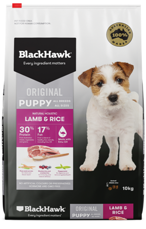 BLACK HAWK Puppy Lamb & Rice