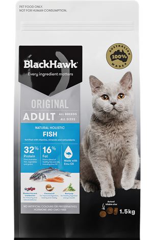Black hawk cat food outlet