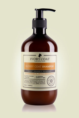 IVORY COAT Glossy Coat Shampoo 500ml