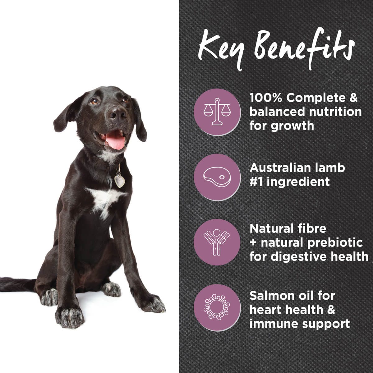 IVORY COAT Puppy Lamb & Brown Rice Woofers World