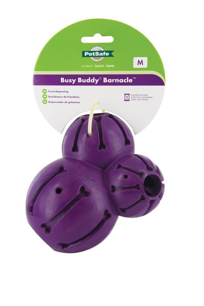 Busy Buddy® Barnacle Dog Toy